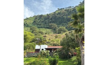 VENTA DE FINCA EN MARSELLA SUROESTE DE ANTIOQUA