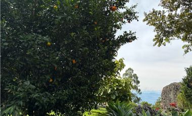 VENTA DE FINCA EN MARSELLA SUROESTE DE ANTIOQUA