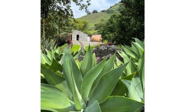 VENTA DE FINCA EN MARSELLA SUROESTE DE ANTIOQUA