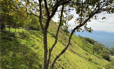 VENTA DE FINCA EN MARSELLA SUROESTE DE ANTIOQUA