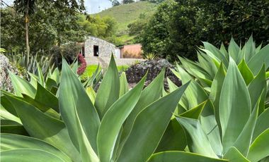 VENTA DE FINCA EN MARSELLA SUROESTE DE ANTIOQUA
