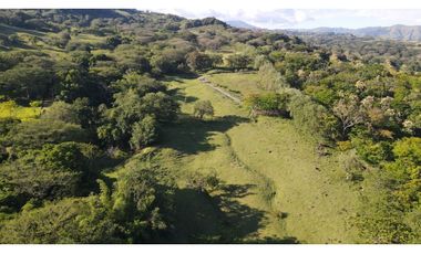 VENTA DE LOTE EN PUENTE IGLESIAS, SUROESTE DE ANTIOQUIA