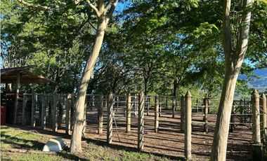 VENTA DE LOTE EN PUENTE IGLESIAS, SUROESTE DE ANTIOQUIA