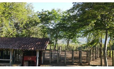 VENTA DE LOTE EN PUENTE IGLESIAS, SUROESTE DE ANTIOQUIA