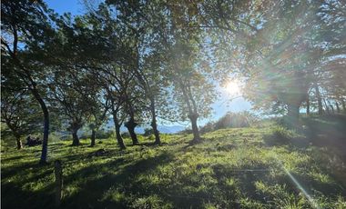 VENTA DE LOTE EN PUENTE IGLESIAS, SUROESTE DE ANTIOQUIA