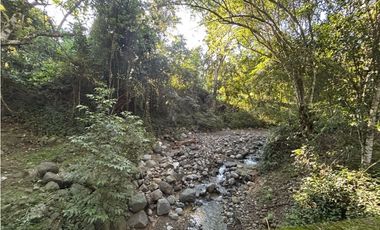 VENTA DE LOTE EN PUENTE IGLESIAS, SUROESTE DE ANTIOQUIA