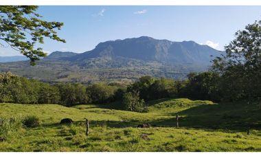 VENTA DE LOTE EN PUENTE IGLESIAS, SUROESTE DE ANTIOQUIA