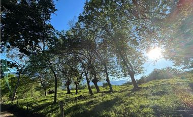 VENTA DE LOTE EN PUENTE IGLESIAS, SUROESTE DE ANTIOQUIA