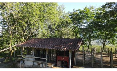 VENTA DE LOTE EN PUENTE IGLESIAS, SUROESTE DE ANTIOQUIA