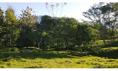 VENTA DE LOTE EN PUENTE IGLESIAS, SUROESTE ANTIOQUEÑO