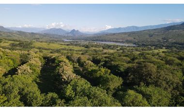 VENTA DE LOTE EN PUENTE IGLESIAS, SUROESTE ANTIOQUEÑO