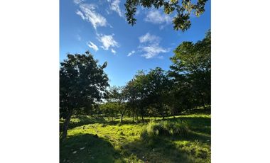 VENTA DE LOTE EN PUENTE IGLESIAS, SUROESTE ANTIOQUEÑO