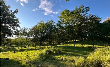 VENTA DE LOTE EN PUENTE IGLESIAS, SUROESTE ANTIOQUEÑO