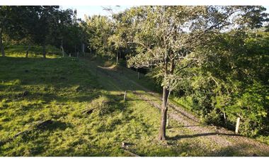 VENTA DE LOTE EN PUENTE IGLESIAS, SUROESTE ANTIOQUEÑO