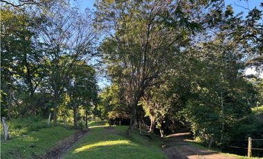 VENTA DE LOTE EN PUENTE IGLESIAS, SUROESTE ANTIOQUEÑO