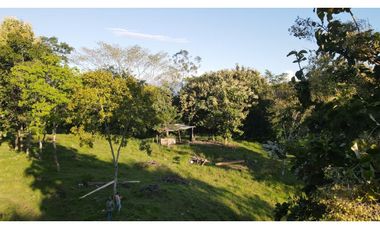 VENTA DE LOTE EN PUENTE IGLESIAS, SUROESTE ANTIOQUEÑO