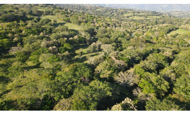 VENTA DE LOTE EN PUENTE IGLESIAS, SUROESTE ANTIOQUEÑO