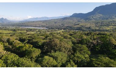 VENTA DE LOTE EN PUENTE IGLESIAS, SUROESTE ANTIOQUEÑO