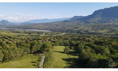 VENTA DE LOTE EN PUENTE IGLESIAS, SUROESTE ANTIOQUEÑO