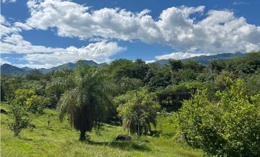 VENTA DE LOTE EN TARSO SUROESTE ANTIOQUEÑO