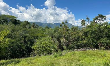 VENTA DE LOTE EN TARSO SUROESTE ANTIOQUEÑO