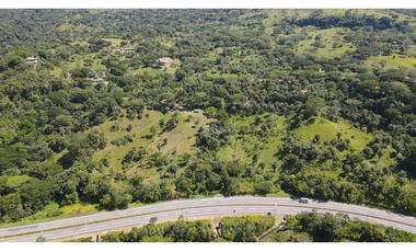 VENTA DE LOTE EN TARSO SUROESTE ANTIOQUEÑO