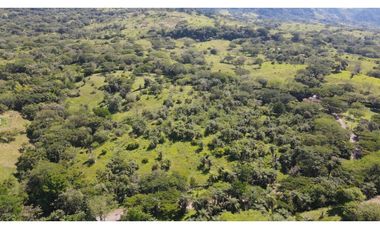 VENTA DE LOTE EN TARSO SUROESTE ANTIOQUEÑO