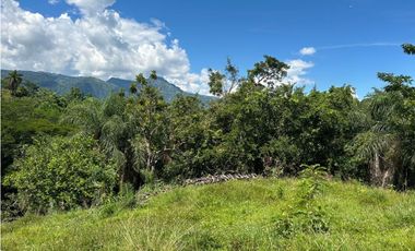 VENTA DE LOTE EN TARSO SUROESTE ANTIOQUEÑO