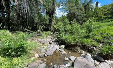 VENTA DE LOTE EN TARSO SUROESTE ANTIOQUEÑO