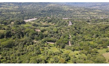 VENTA DE LOTE EN TARSO SUROESTE ANTIOQUEÑO