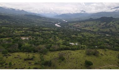 Venta de lote en puente iglesias