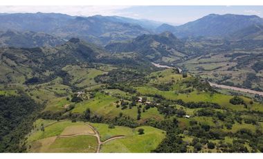 VENTA DE LOTE EN TARSO SUROESTE DE ANTIOQUIA