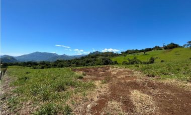 VENTA DE LOTE EN TARSO SUROESTE DE ANTIOQUIA