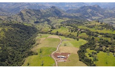 VENTA DE LOTE EN TARSO SUROESTE DE ANTIOQUIA