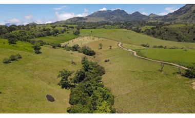 VENTA DE LOTE EN TARSO SUROESTE DE ANTIOQUIA