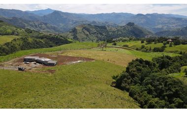 VENTA DE LOTE EN TARSO SUROESTE DE ANTIOQUIA