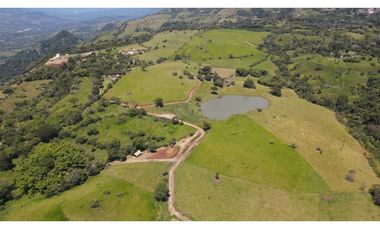 VENTA DE LOTE EN TARSO SUROESTE DE ANTIOQUIA