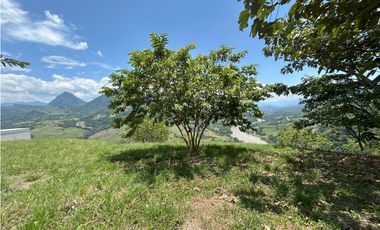 VENTA DE LOTE EN TARSO SUROESTE ANTIOQUEÑO