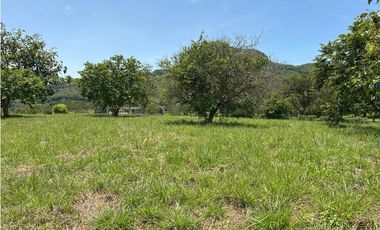 VENTA DE LOTE EN TARSO SUROESTE ANTIOQUEÑO