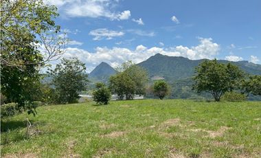 VENTA DE LOTE EN TARSO SUROESTE ANTIOQUEÑO