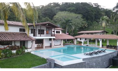 VENTA DE FINCA EN LA PINTADA SUROESTE DE ANTIOQUIA