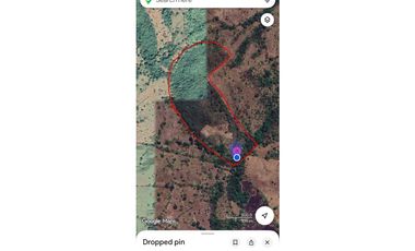 Venta de Finca 17.75 Hectareas en Playa Santa Catalina Panama