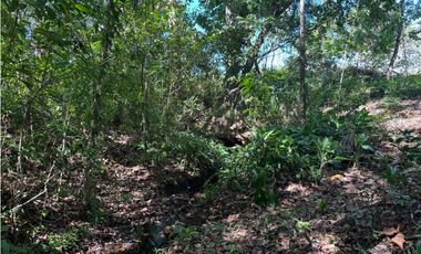 Venta de Finca 17.75 Hectareas en Playa Santa Catalina Panama