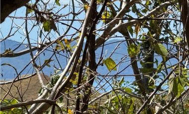 Venta de Finca 17.75 Hectareas en Playa Santa Catalina Panama