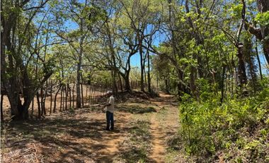 Venta de Finca 17.75 Hectareas en Playa Santa Catalina Panama