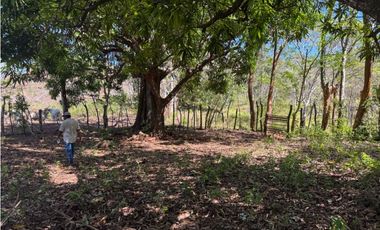 Venta de Finca 17.75 Hectareas en Playa Santa Catalina Panama