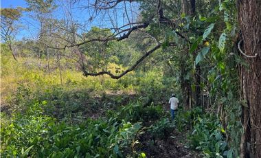 Venta de Finca 17.75 Hectareas en Playa Santa Catalina Panama