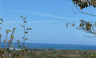 Venta de Finca 17.75 Hectareas en Playa Santa Catalina Panama