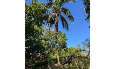 Venta de Finca 17.75 Hectareas en Playa Santa Catalina Panama