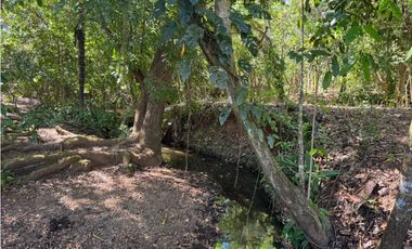 Venta de Finca 17.75 Hectareas en Playa Santa Catalina Panama